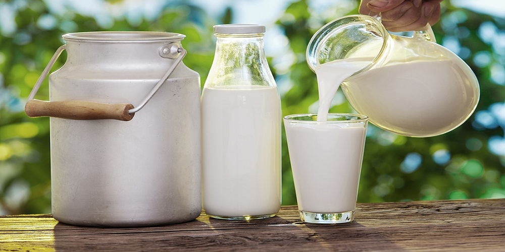 تفاوت شیر سنتی و شیر صنعتی