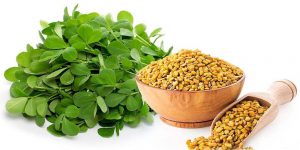شنبلیله و خواص آن